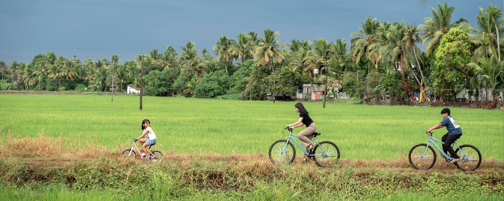 The River Bells Cruises and Resorts - Alappuzha